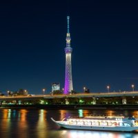 醉美樱花季：全国多地-日本多地 樱花季