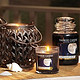 限中亚Prime会员：Yankee Candle 扬基香薰无烟蜡烛 大瓶装 Midsummer's Night 623g *2