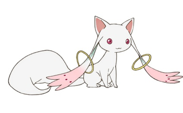 少年，和我签订契约成为马猴烧酒吧