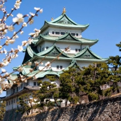 上海-名古屋+大阪6-8日往返含税机票