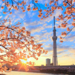 南京-日本静冈4日往返含税机票+个人签证（含2件行李额 ）