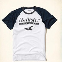 HOLLISTER logo 男士短袖T恤