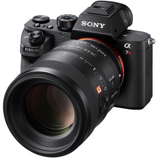 SONY 索尼 FE 100mm F2.8 STF GM OSS 中远摄定焦镜头 索尼FE卡口 72mm