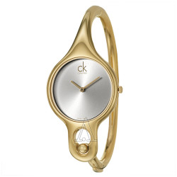 CALVIN KLEIN Air 系列镀金 K1N22526 女士时装腕表