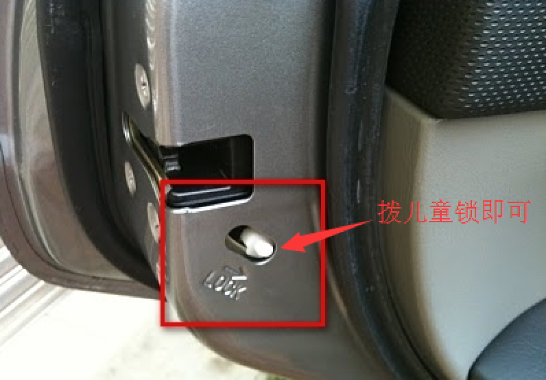 安全提示：如何防止你的孩子和熊约会