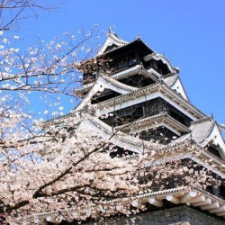 上海-日本佐贺 5日往返机票（回程行李额25kg）