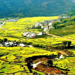 上海-黄山市+婺源 3日2晚跟团游（往返巴士+2晚住宿+篁岭和徽州大峡谷门票）