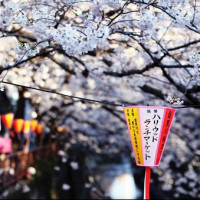 有值有坑：北京-日本九州4日跟团游