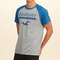 HOLLISTER 128989 男士T恤