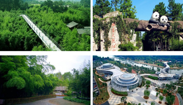 浙江-湖州安吉1晚住宿+竹博园门票2张+梅花沟