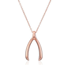 Amazon Collection Wishbone 许愿骨项链*3条 