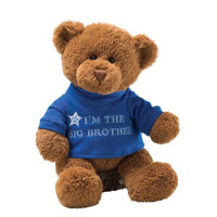 GUND I‘m Big Brother 泰迪熊 12英寸