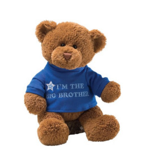 GUND I‘m Big Brother 泰迪熊 12英寸