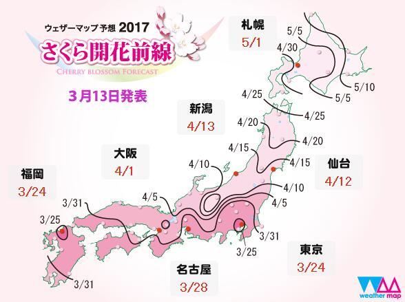 樱花虽美，却美不过这些樱花限定