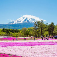 富士山芝樱季：北京-东京+箱根 5日自由行（机票+酒店+富士山一日游+米其林怀石料理）