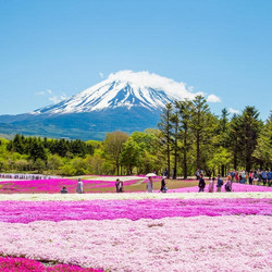 上海-东京+富士山 5/6天半自助游