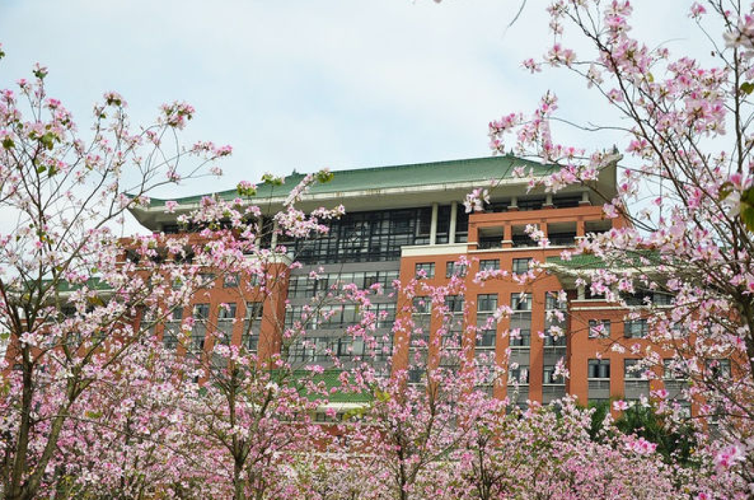 出行指南：4、5月全国多地赏花攻略