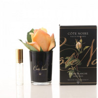 Cote Noire 深情经典 黑瓶手作含苞玫瑰室内香氛花