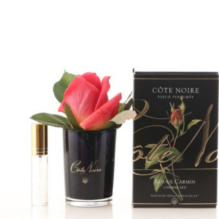 Cote Noire 深情经典 黑瓶手作含苞玫瑰室内香氛花