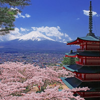 含暑假班期：北京-东京+大阪+京都+箱根 7日6晚跟团游