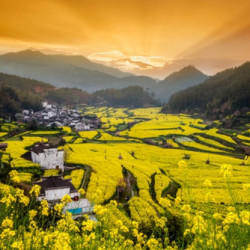 北京--婺源+三清山+景德镇4日跟团游