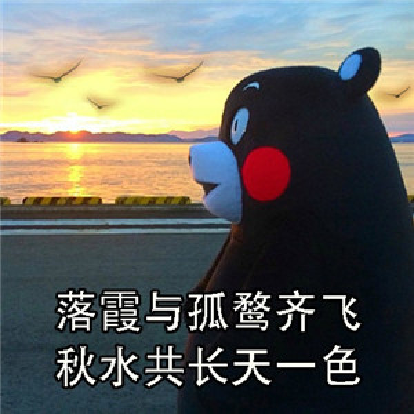 晚间精选: 一键海淘夜总汇 看书不用靠脑补