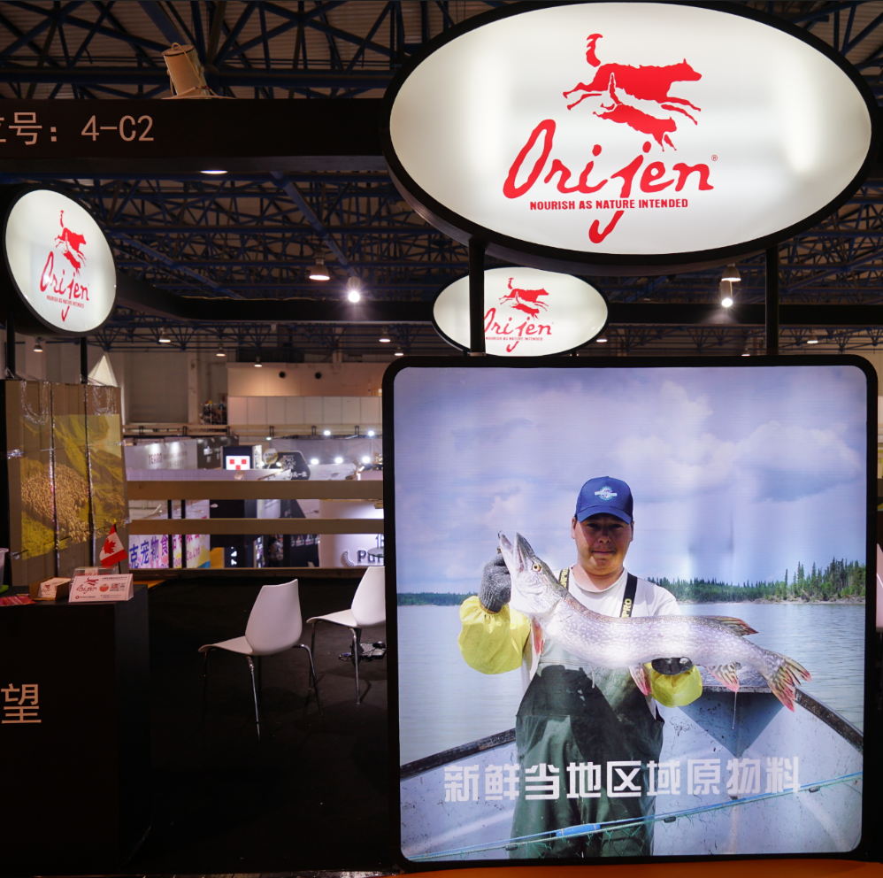 国际宠物用品展:萌宠的衣食住行一应俱全