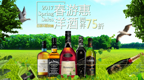 促销活动：京东  2017春游洋酒惠