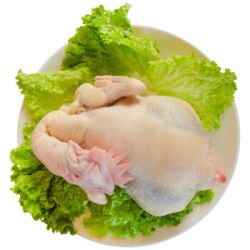 百年栗园 密云水库老母鸡 林间散养 1.5kg*3只