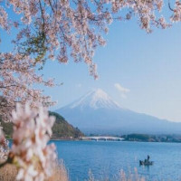 北京领区：日本三年多次个人旅游签证