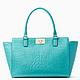 Kate Spade NEW YORK orchard valley kelsey 女士手提包