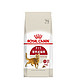 ROYAL CANIN 皇家 营养成猫粮 15kg F32