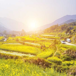 上海-婺源篁岭+水墨宏村3天2晚自由行