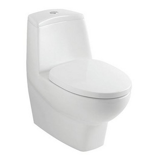 Villeroy & Boch 德国唯宝 6680A001P 欧诺连体虹吸式马桶 305mm坑距