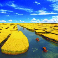 4月班期：北京-江苏扬州+泰州+兴化4日跟团游