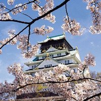 含樱花季班期：杭州-大阪+静冈 7天往返含税机票（赠WiFi）