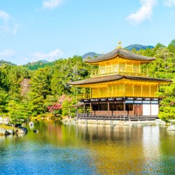 天津-东京+大阪+京都+富士山 6日5晚跟团游