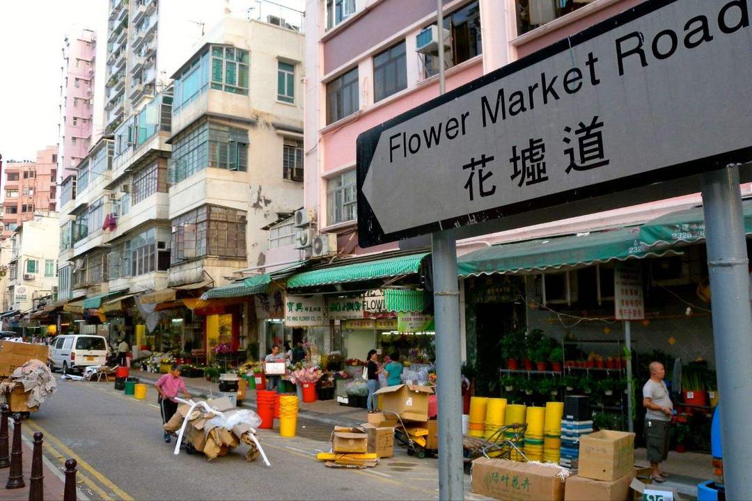 怪你过分美丽,怪我过分着迷丨回顾哥哥过往的足迹