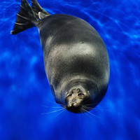 海航直飞:北京-俄罗斯贝加尔湖4-8天往返含税机