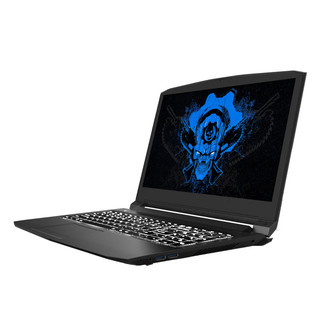  ips 毁灭者X55 GTX1050 2G 游戏笔记本电脑  酷睿i5-7300HQ GTX 1050 黑色 8GB 1TB