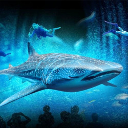 珠海长隆 横琴湾/企鹅/马戏酒店 3天2晚套餐（双人海洋王国+马戏+水世界门票）