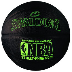 SPALDING 斯伯丁 NBA官方指定街头篮球