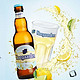 0点开始：Hoegaarden 福佳 白啤酒 330ml*24瓶 整箱