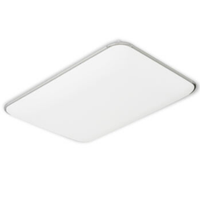  HAIDE 海德照明 HAIDE LIGHTING 银苹果 LED吸顶灯