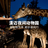 旅游一键购：泰国清迈 出游必备手册