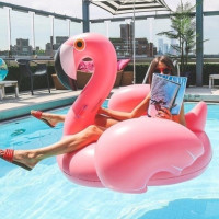 SUNNYLIFE Luxe 火烈鸟浮舟