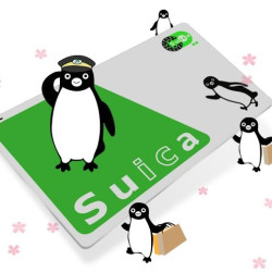 日本Suica交通卡（西瓜卡）