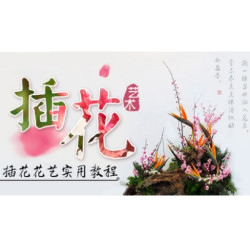 天下网校 艺术插花 在线视频教程