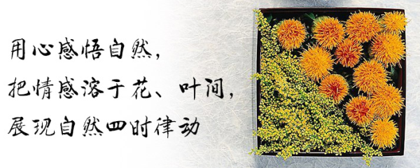天下网校 艺术插花 在线视频教程