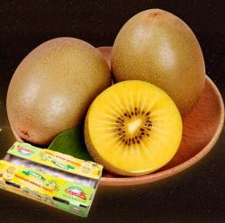 Zespri 佳沛 新西兰金奇异果特大